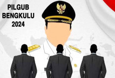 Pilgub Bengkulu, Partai Demokrat Ajukan 3 Nama ke DPP