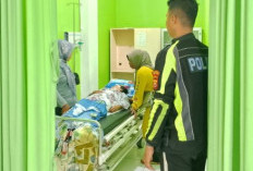 Sandra Dewi Meninggal Dunia Setelah Terlibat Kecelakaan Maut, Sopir Mobil Terios Diamankan Polisi