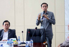 Dikunjungi Ketua DPD RI, Bupati Kaur Bicara Soal Pelabuhan Linau dan Sektor Pendidikan