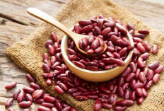 Selain Menjaga Jantung Tetap Sehat, Ini Manfaat Lain Kacang Merah Bagi Kesehatan  