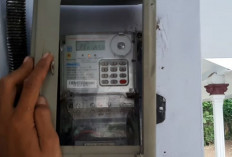 Cara Mengetahui Besaran Tagihan Listrik PLN, Tak Perlu Keluar Rumah, Cukup Lewat HP Saja