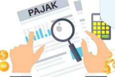 Pertumbuhan Penerimaan Pajak Provinsi Bengkulu Capai 10 Persen