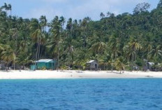 Pesona dan Keindahan Pulau Pahat, Tempat Penangkaran Penyu di Kepulauan Anabas