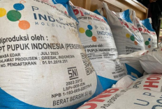 Pasca HUT Kemerdekaan, Harga Pupuk Non Subsidi Naik Lagi