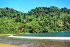 Pantai Sipelot Malang, Surga Tersembunyi yang Dilengkapi Pesona Air Terjun