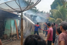 Lagi Jemur Padi, Rumah Ludes Dilalap Si Jago Merah