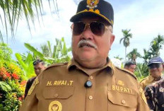 Sektor Peternakan Masuk Program Prioritas Jangka Panjang