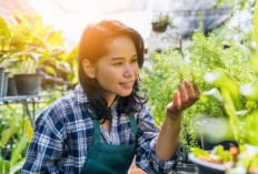 Patut Dipraktikkan, Ini 6 Ide Bisnis Pertanian Kekinian yang Menjanjikan