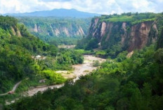 Destinasi Wisata Ngarai Sionak di Sumatera Barat, Unik Dan Indah Disebut Juga Lembah Pendiam