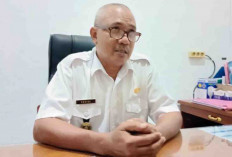 Proses Verifikasi Berkas PPPK Tahap I Kaur Rampung, NI Siap Diusulkan