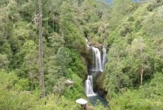 Pesona Air Terjun Sarambu, Surga Alam Tersembunyi di Tana Toraja Yang Menarik Untuk Dikunjungi