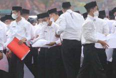 Pejabat BKPSDM Mukomuko: 114 Formasi PPPK Tahap I Kosong Pelamar