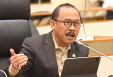 DPR Diminta Bentuk Pansus Bulog, Telusuri Penyebab Harga Beras Naik