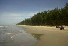 Pantai Batu Kumbang, Destinasi Wisata Populer Di Mukomuko, Pemandangan Alamnya Mempesona