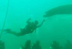 Basarnas Provinsi Bengkulu Kibarkan Bendera di Bawah Laut