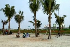 Pesona Pantai Pasir Putih PIK2, Tempat Liburan Seru Bersama Keluarga, Lokasinya Dekat Ibu Kota