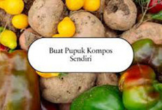 Petani Diimbau Manfaatkan Pupuk Buatan Sendiri, Ini 5 Cara Membuat Pupuk Kompos