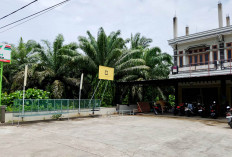 Buruan Daftar Lombah Prima Song Tournament