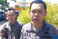 Kejari Seluma Mulai Geber Laporan Soal Honorer Siluman