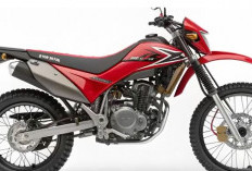 Honda XR 190L 2025 Resmi Meluncur, Motor Dual-Sport Tangguh yang Siap Menjelajah Segala Medan