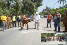 Tuntaskan Program Seribu Jalan Mulus, Bupati Seluma Lakukan Titik Nol Pembangunan