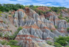 Daya Tarik Pulau Sabu di Nusa Tenggara Timur, Ada Bukit Salju dan Budaya Masyarakat Yang Unik