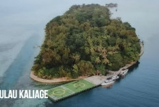 Bukan Sembarangan, 8 Orang Indonesia Ini Memiliki Pulau Pribadi, Bahkan Ada yang Punya 3 Pulau