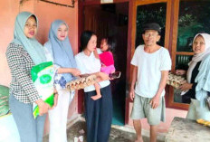 Pemberian Pakan Natura Bagi KRS di Kecamatan Ulu Manna