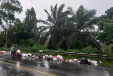 Bikin Malu, Pemda Bengkulu Selatan Biarkan Sampah Berserakan di Pinggir Jalan Nasional