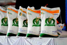 345,1 Ton Beras Bapang Dibagikan di Seluma, Penerima Bertambah