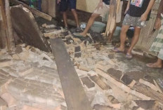 Bengkulu Dilanda Gempa 5,6 Magnitudo, Satu Rumah Warga di Bengkulu Selatan Rusak