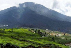 Misteri Gunung Dempo, Atap Negeri Sumatera Selatan, Dihuni Mahluk Halus Bernama Mesumai