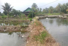 Dorong Pertumbuhan Sektor Ikan Darat, Pemda Bengkulu Selatan Perlu Lakukan Hal Ini