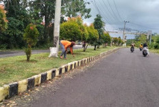 Tata Taman Padang Kempas, DLH Kaur Tingkatkan Estetika Kota
