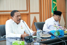 Wagub Soroti Rendahnya Pastisipasi Pelaku Usaha Tanamkan Modalnya di BUMD