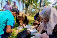 Distan Bengkulu Selatan Hadirkan Panter Optimalkan Potensi Peternakan