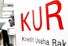 Prabowo Keluarkan Perintah Terkait KUR, Seperti Ini Pengelolaannya