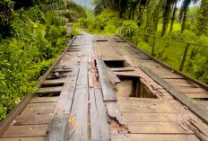Jembatan Cinto Mandi Terancam Putus, Masyarakat Bingung Kemana Minta Bantuan?