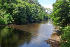 Sungai Air Mertam Menghitam Lagi, Ada Apa?