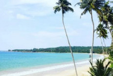 10 Pantai Terindah di Pulau Nias, Cocok Dijadikan tempat Berlibur Bersama Keluarga