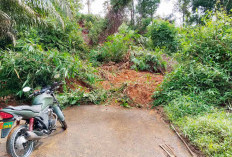 Material Longsor Belum Di Jalan Belum Disingkirkan Ketua DPRD Seluma Meradang