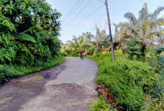Jalan Karang Cayo Amblas, BPBD Ingatkan Warga Yang Melintas