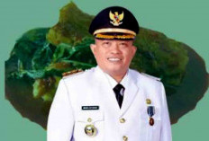 Erwin Octavian Masih Lobi Parpol Besar Untuk Perahu Pilkada Seluma