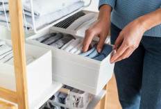 Lemari Plastik Desain Stylish Kian Diminati, Ini 8 Rekomendasi Terbaik Tahun Ini, Harga Mulai Rp162 Ribu 