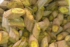 5 Manfaat Tumbuhan Akar Kuning Untuk Kesehatan, Bahan Obat Herbal Banyak Ditemukan Di Hutan Indonesia