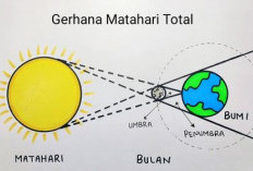 Ilmuan Menyebut Indonesia Akan Mengalami Gerhana Matahari Total, Ini Prediksi Waktunya