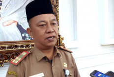 Penyebab Pelamar CPNS TMS, Kebanyakan Tidak Mengunggah Ijazah Asli