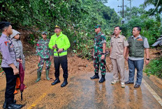 Waspada! Bencana Tanah Longsor Masih Mengintai di Perbatasan Manna-Tanjung Sakti