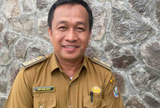 Dinkes Kaur Usulkan DAK Rp 115 Miliar