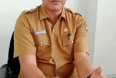 Kekurangan Buku Bacaan, Dinas Perpustakaan Bengkulu Selatan Terakreditasi C